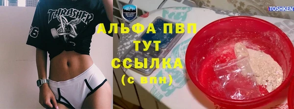 стафф Абинск