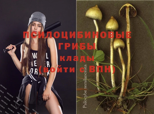 крисы Красноперекопск