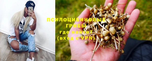 стафф Абинск