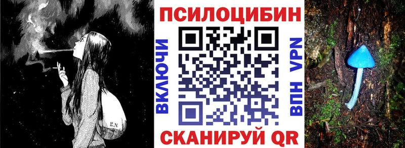 гидра как войти  Воронеж  Псилоцибиновые грибы мицелий 